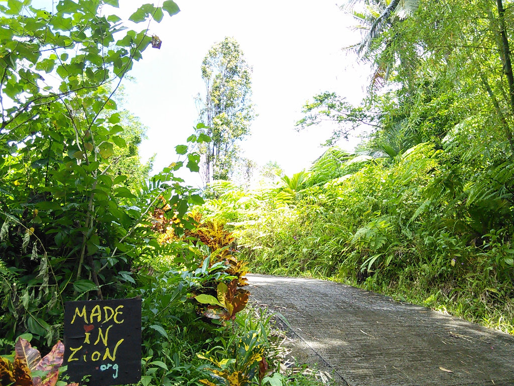 Made In Zion Allée