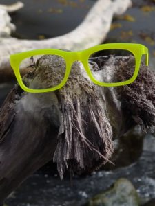 Lunettes Zion face beach