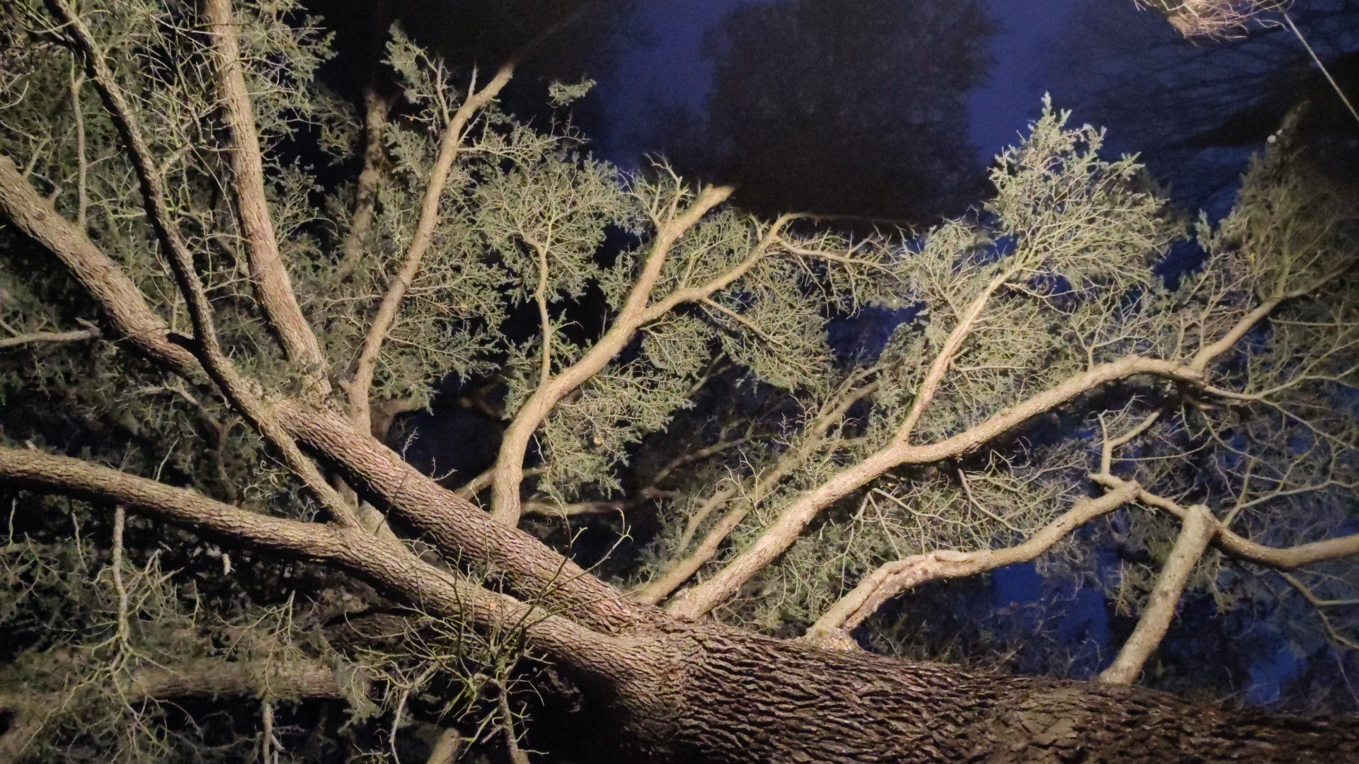 Cover image for 🌱 Contrat: Élément non identifié