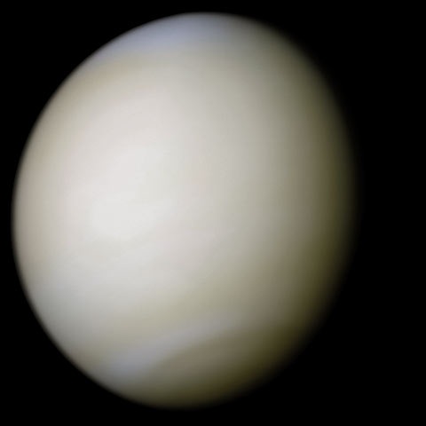 Vénus